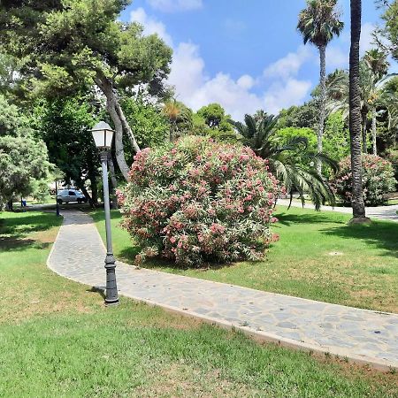Sinforosa Park Apartments Torrevieja Exteriör bild